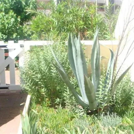 Naturiste Heliopolis 아그