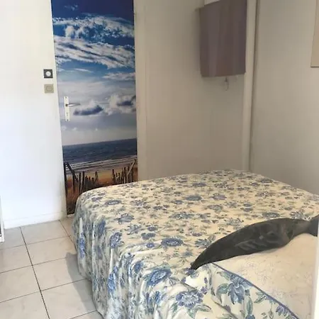 Naturiste Heliopolis 아파트 *